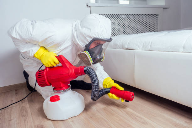 Best Pest Removal Services  in Wade, MS