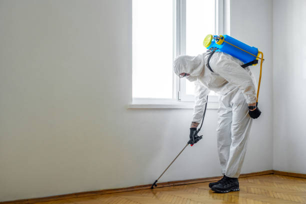Best Commercial Pest Control Services  in Wade, MS