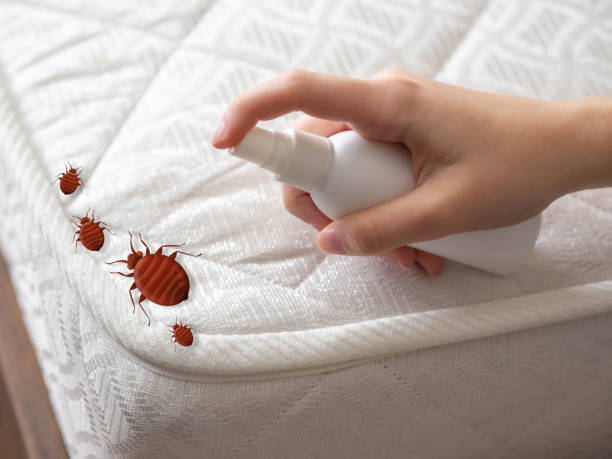 Best Affordable Pest Control Services  in Wade, MS
