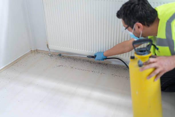 Best Ant Control Services  in Wade, MS